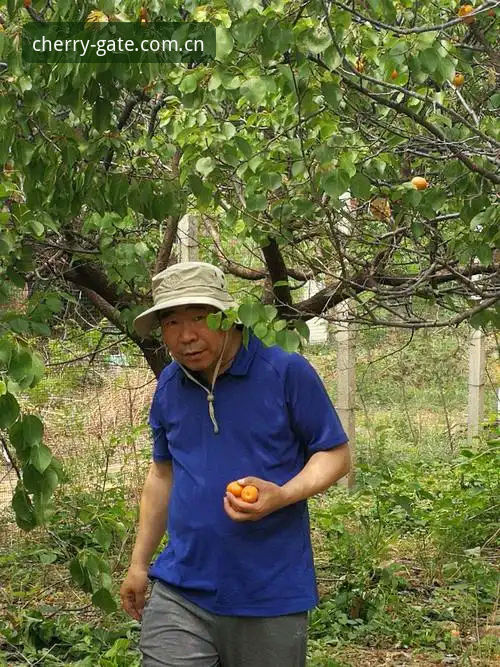 杏运平台官网注册实用指南：绕过入口变更迷障，一步到位